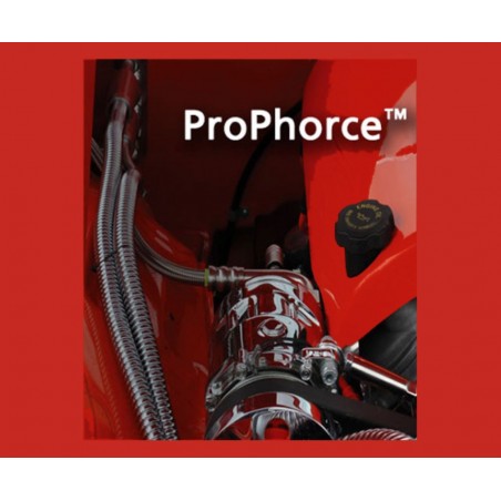 ProPhorce Exclusive, 25kg